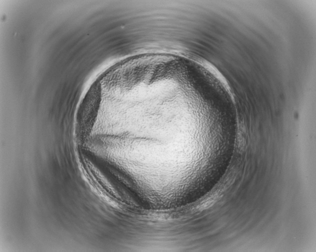 X0000087561096200705112141