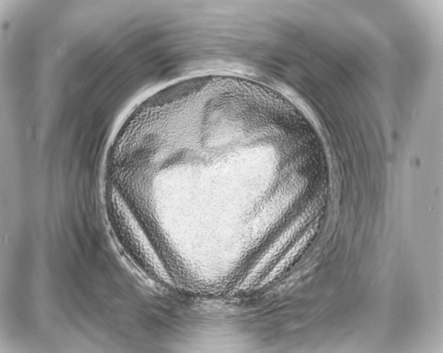 X0000087561104200705112141