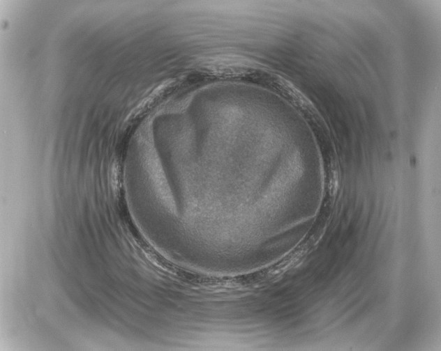 X0000087561108200705112140