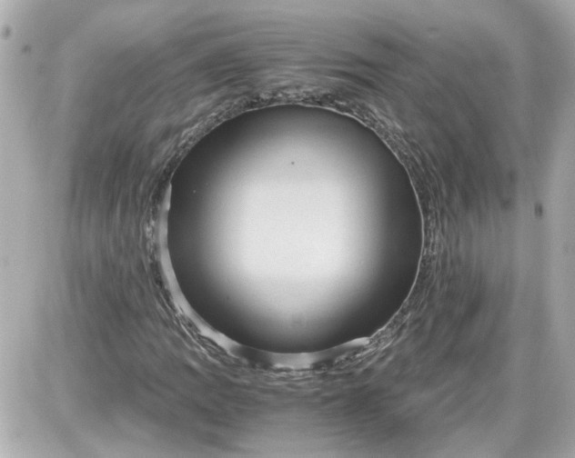 X0000087561109200705112140