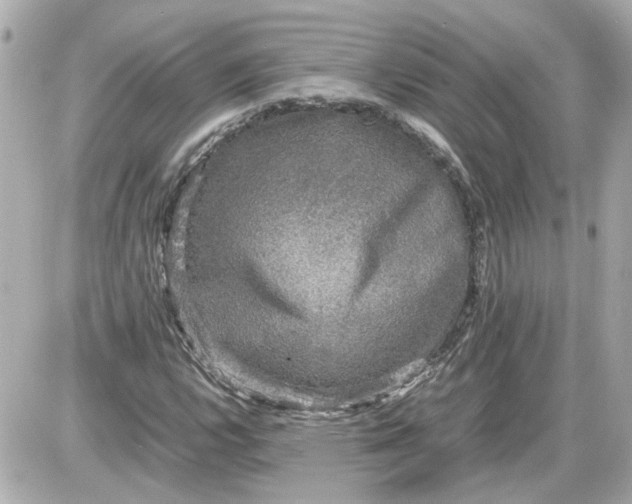 X0000087561112200705112140