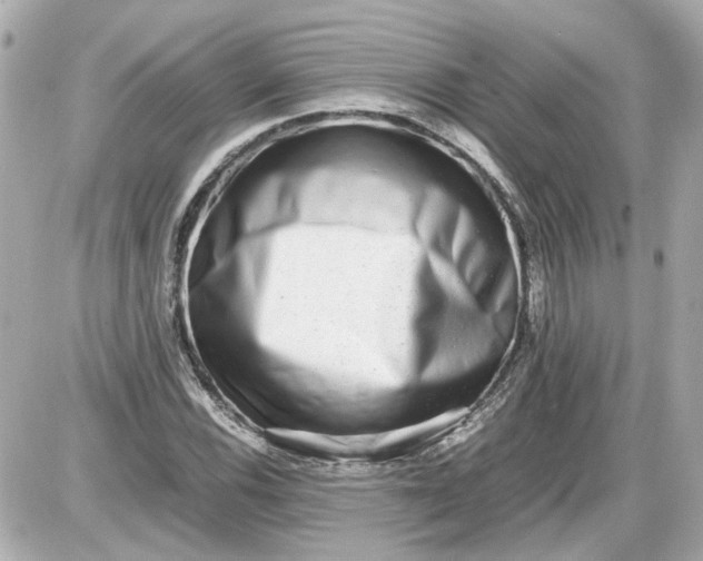 X0000087561116200705112140
