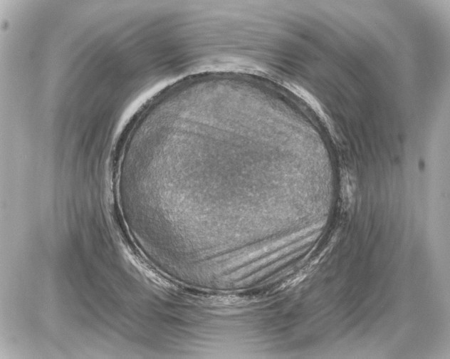 X0000087561120200705112140