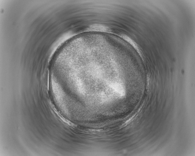 X0000087561123200705112140