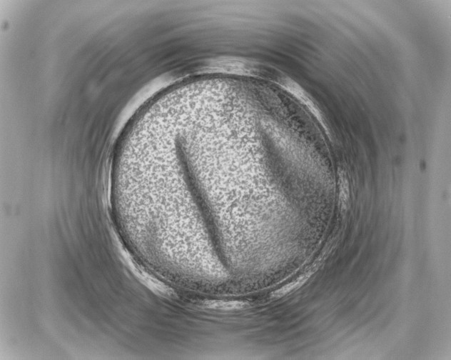 X0000087561131200705112140