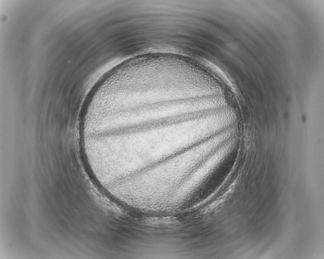 X0000087561133200705112140