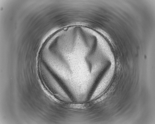 X0000087561135200705112141