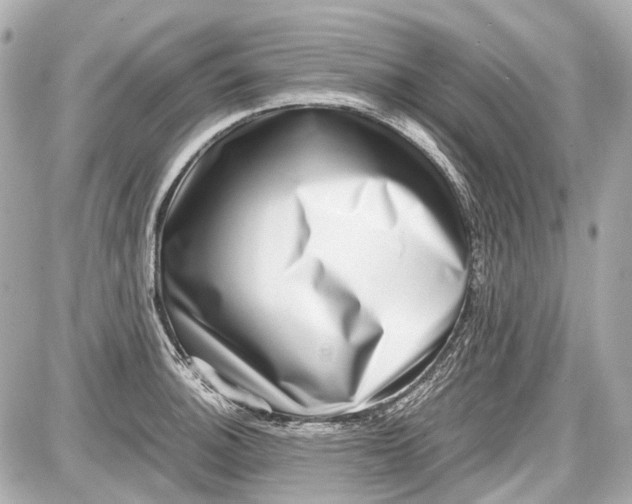 X0000087561140200705112141