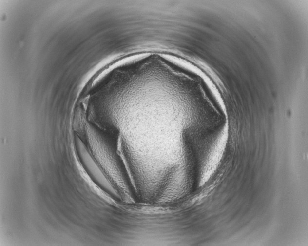 X0000087561142200705112141