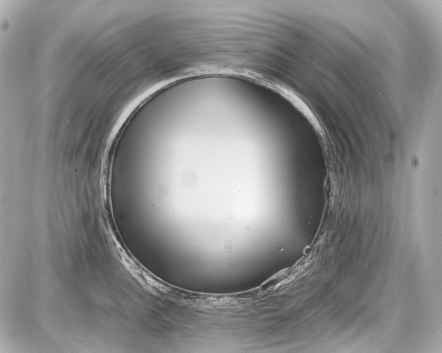 X0000087561148200705112141