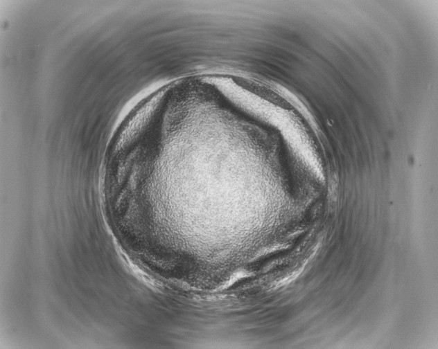 X0000087561149200705112141