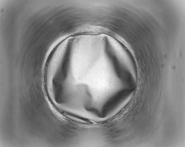 X0000087561152200705112141
