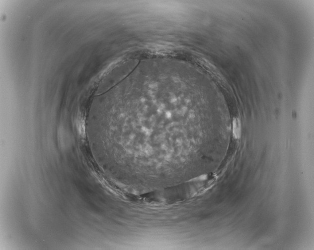 X0000087561155200705112140