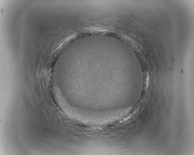 X0000087561157200705112140