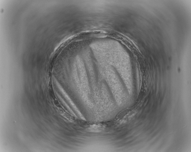 X0000087561160200705112140