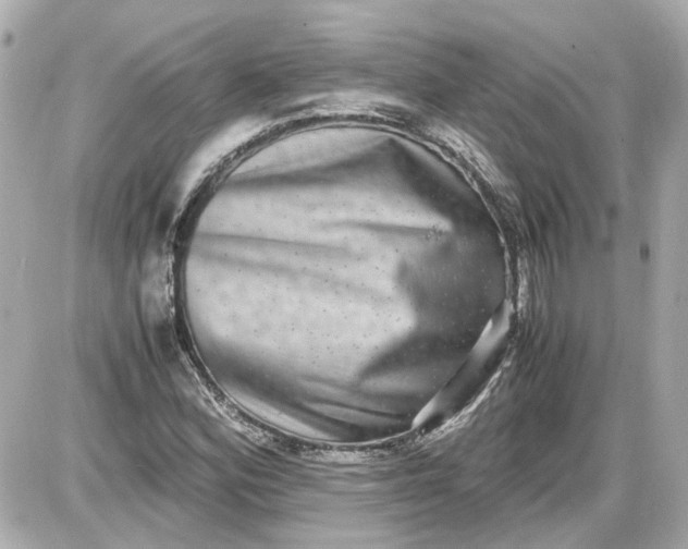 X0000087561164200705112140