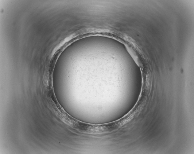 X0000087561165200705112140