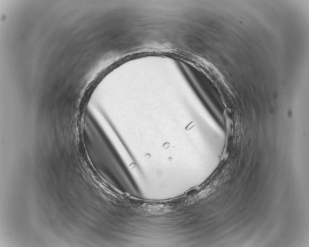 X0000087561168200705112140