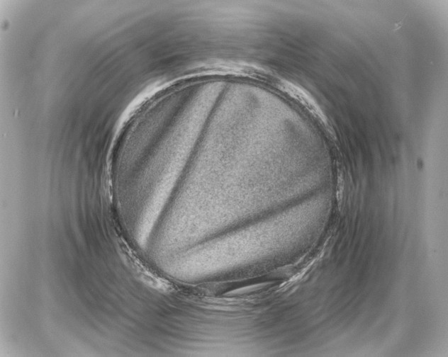 X0000087561172200705112140