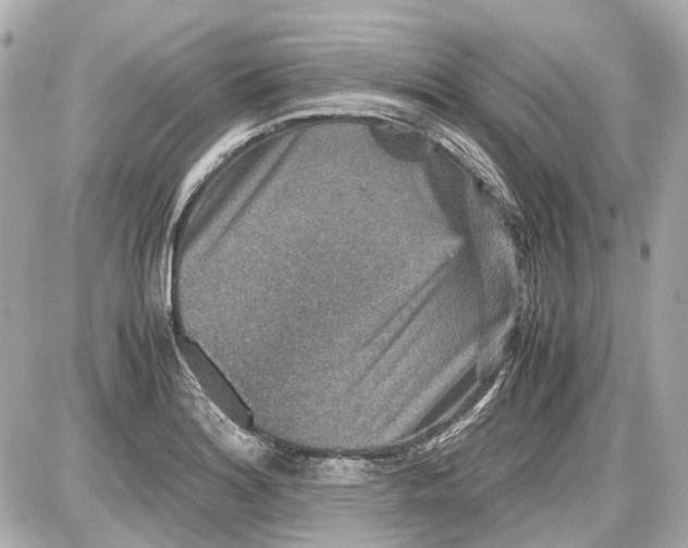 X0000087561180200705112140