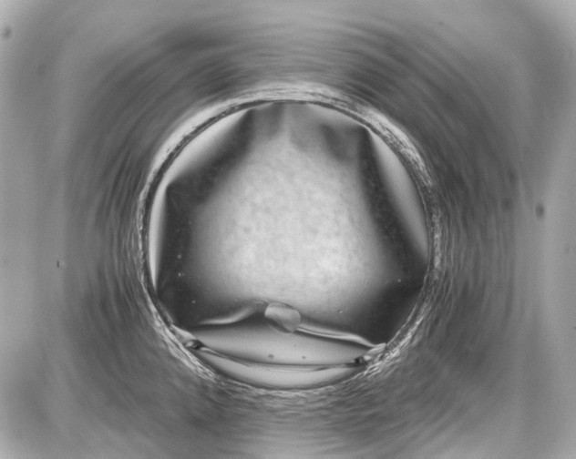X0000087561192200705112139