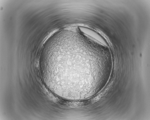 X0000087561193200705112139