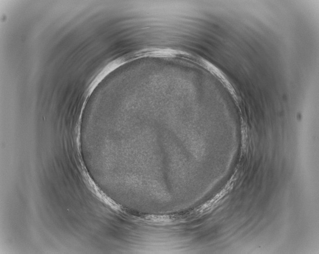 X0000087561194200705112139