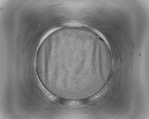 X0000087561195200705112139