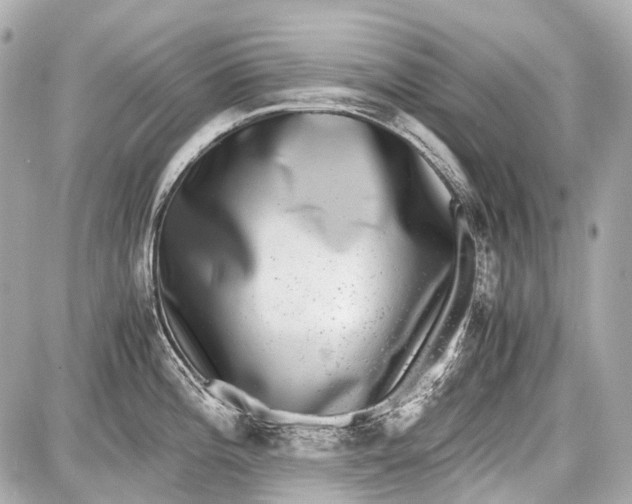 X0000087561196200705112139