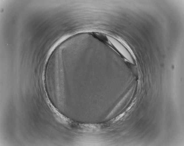 X0000087561197200705112139