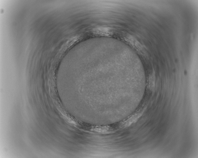 X0000087561201200705112138
