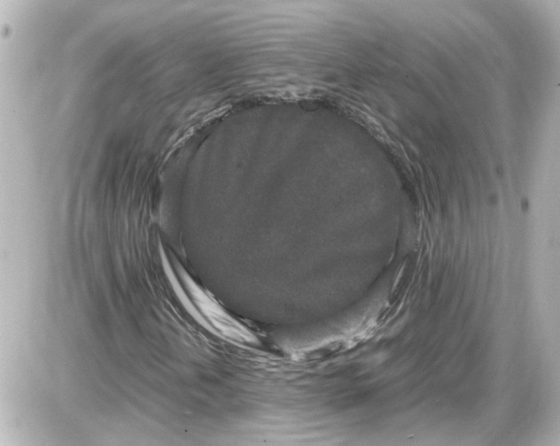 X0000087561202200705112138
