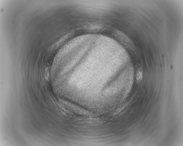 X0000087561204200705112138