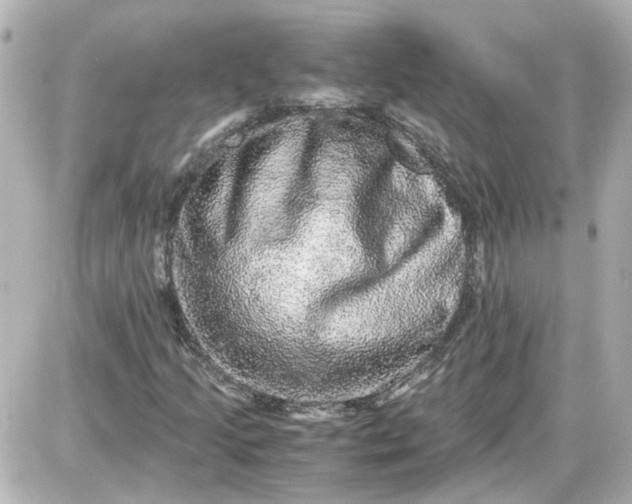 X0000087561205200705112139