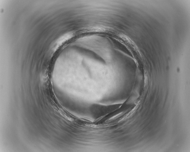 X0000087561210200705112139