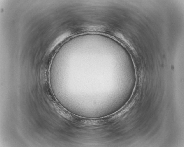 X0000087561211200705112139