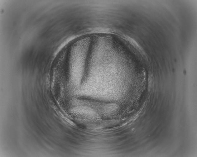 X0000087561212200705112139