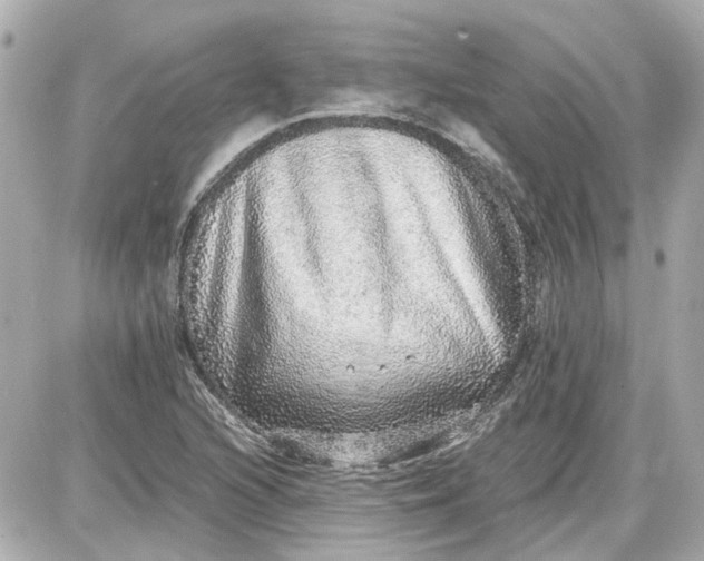 X0000087561216200705112139
