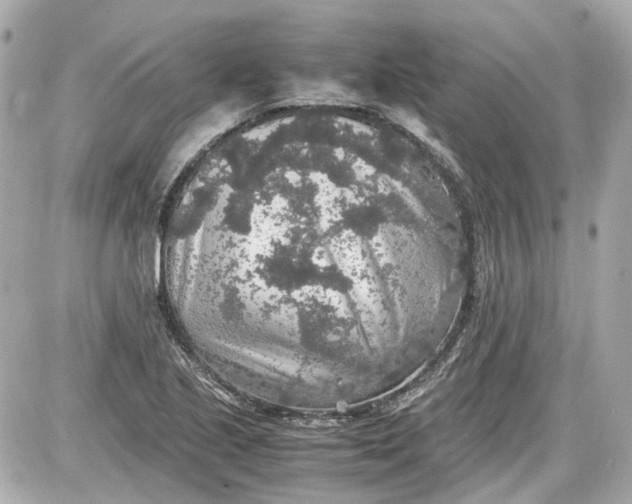 X0000087561221200705112139