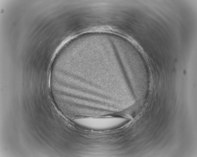 X0000087561224200705112139