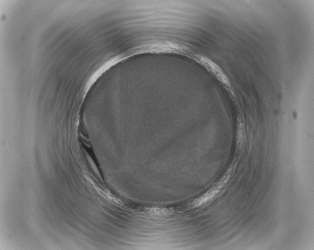 X0000087561226200705112139