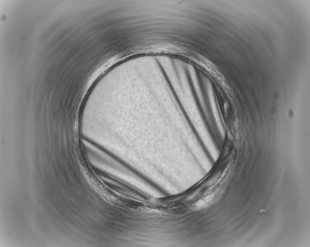 X0000087561234200705112139