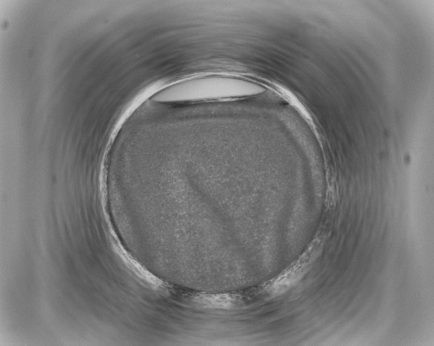 X0000087561243200705112139