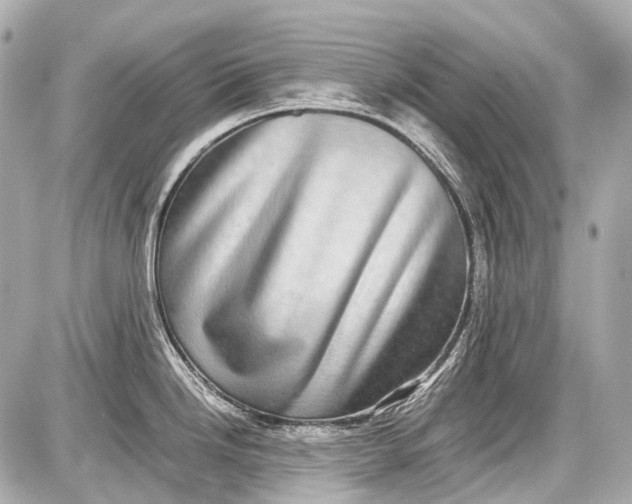 X0000087561246200705112139