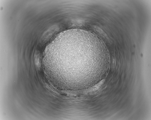 X0000087561250200705112138