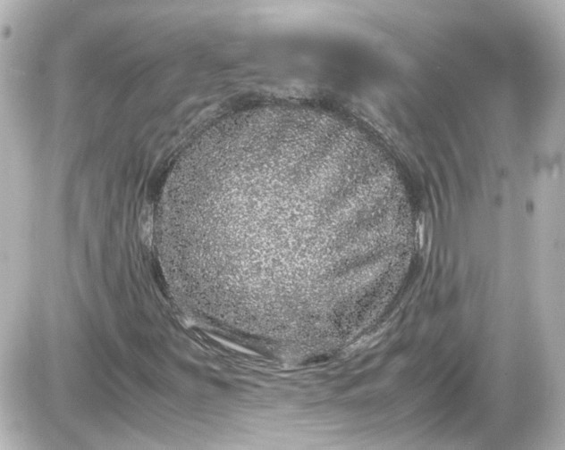 X0000087561251200705112138