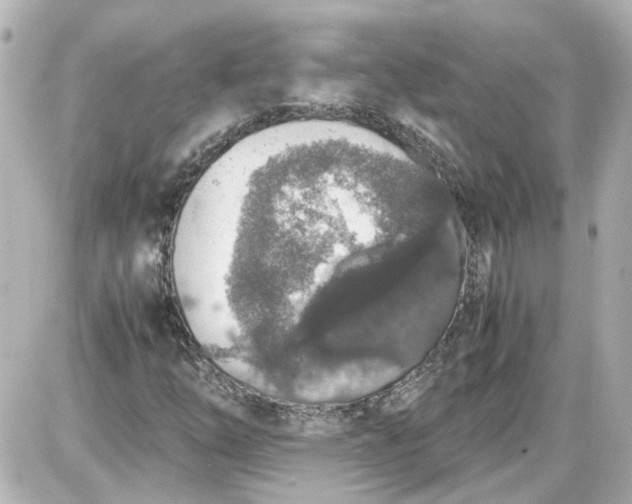 X0000087561254200705112138