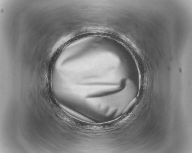 X0000087561261200705112138