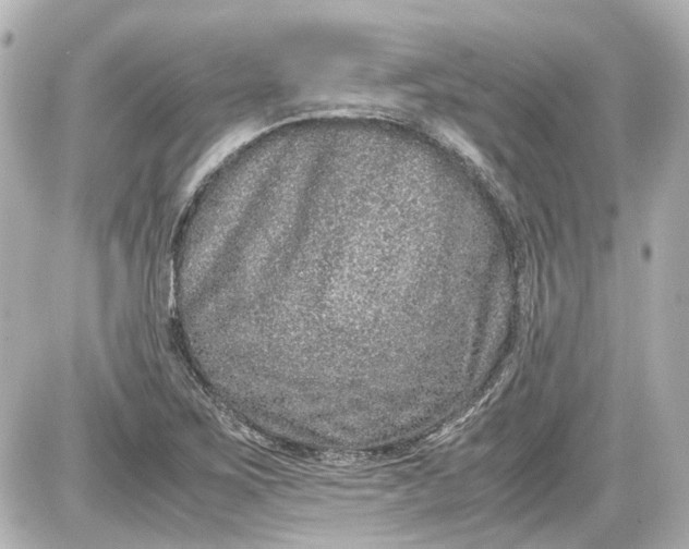 X0000087561267200705112138