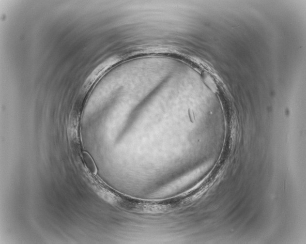 X0000087561273200705112138